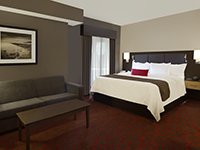 King room with sofa bed